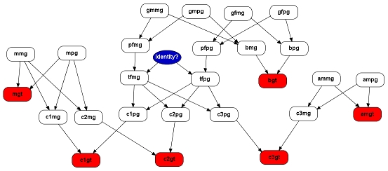 forensic_net_small